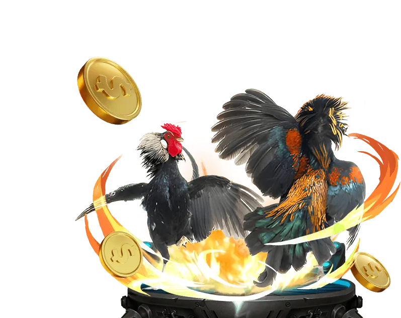 Chương trình VIP 1win Bet